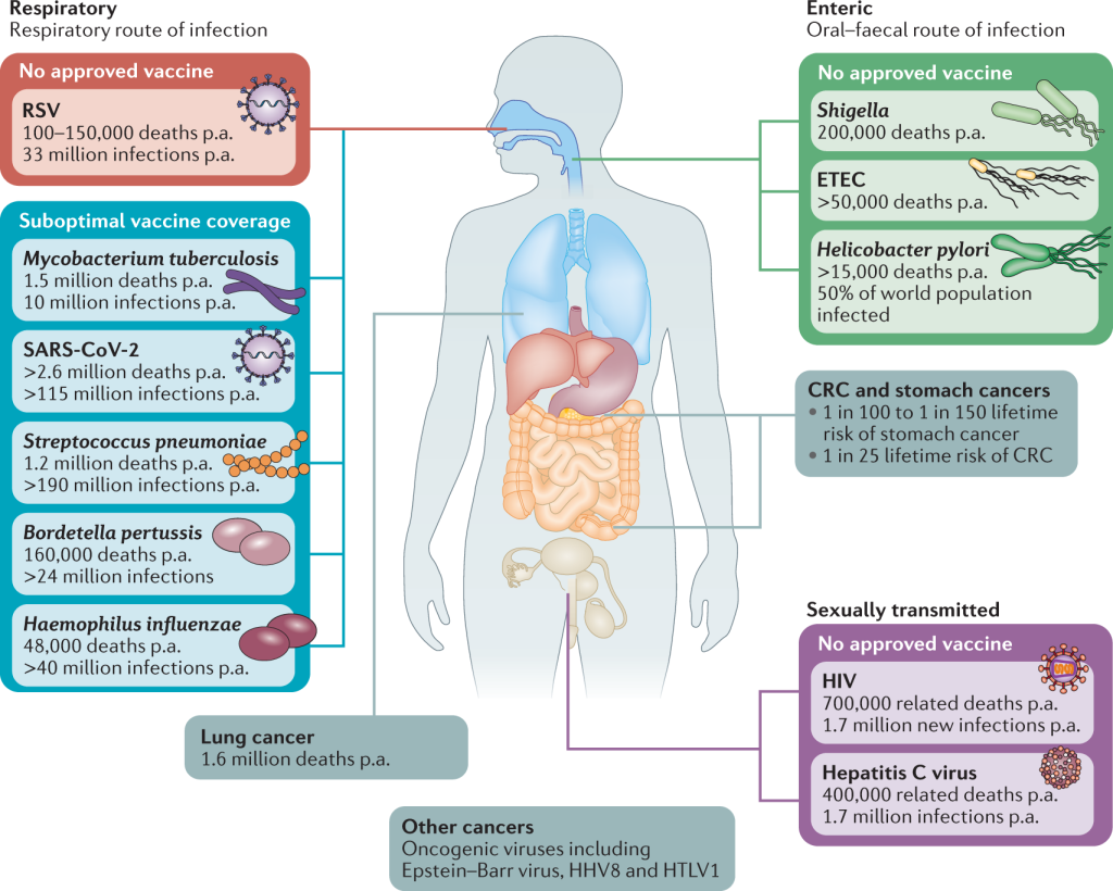 Fortify Your Defenses Exploring Immune System Challenges and Solutions ...