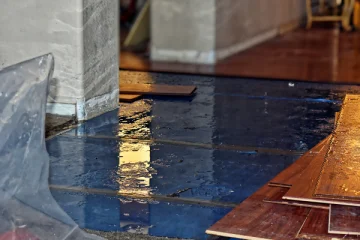 Insightful Perception About Water Damage And Its Restoration