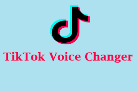 Accessing TikTok's Voice Changer