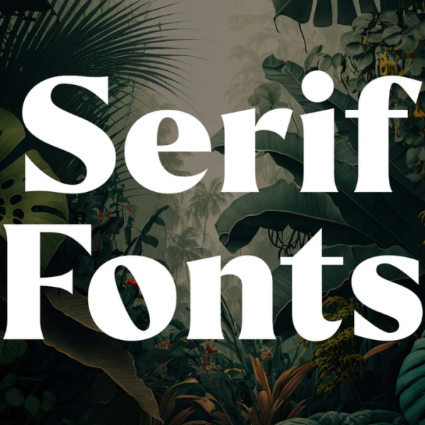 Are Serif Fonts Finally Out? Why Sans Serif is Trending