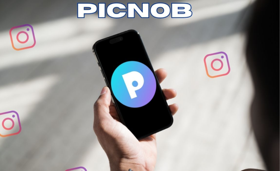 How Picnob Works 