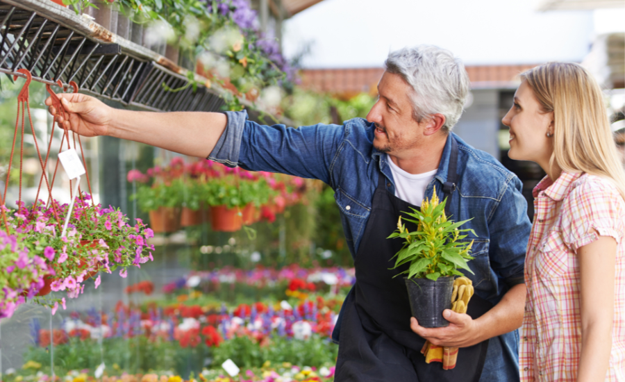 The Benefits of Plant Nurseries webfreen.com
