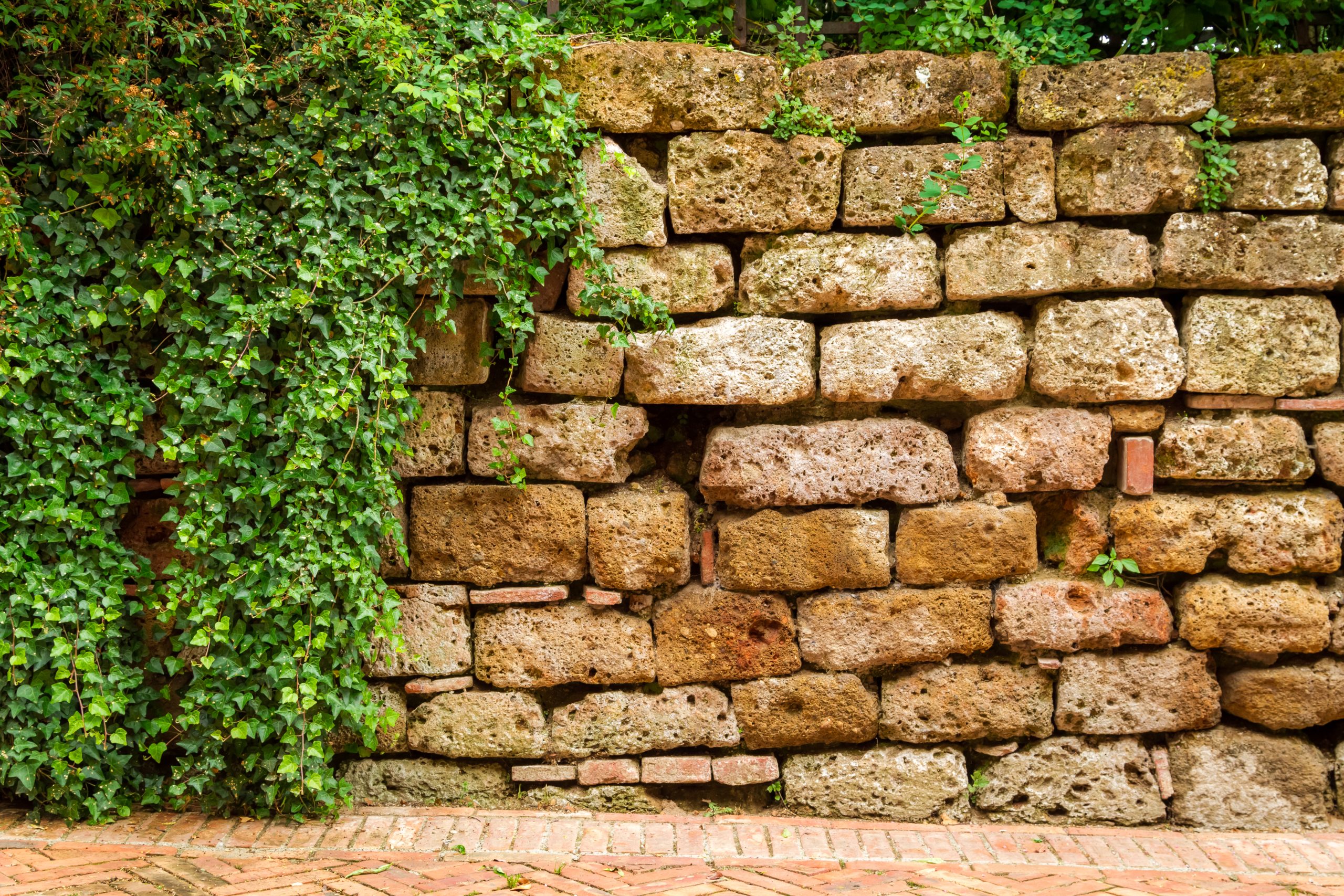 Landscaping Ideas with Retaining Walls