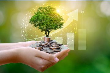 A Safe Haven for Eco-Conscious Investors