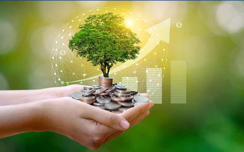 A Safe Haven for Eco-Conscious Investors