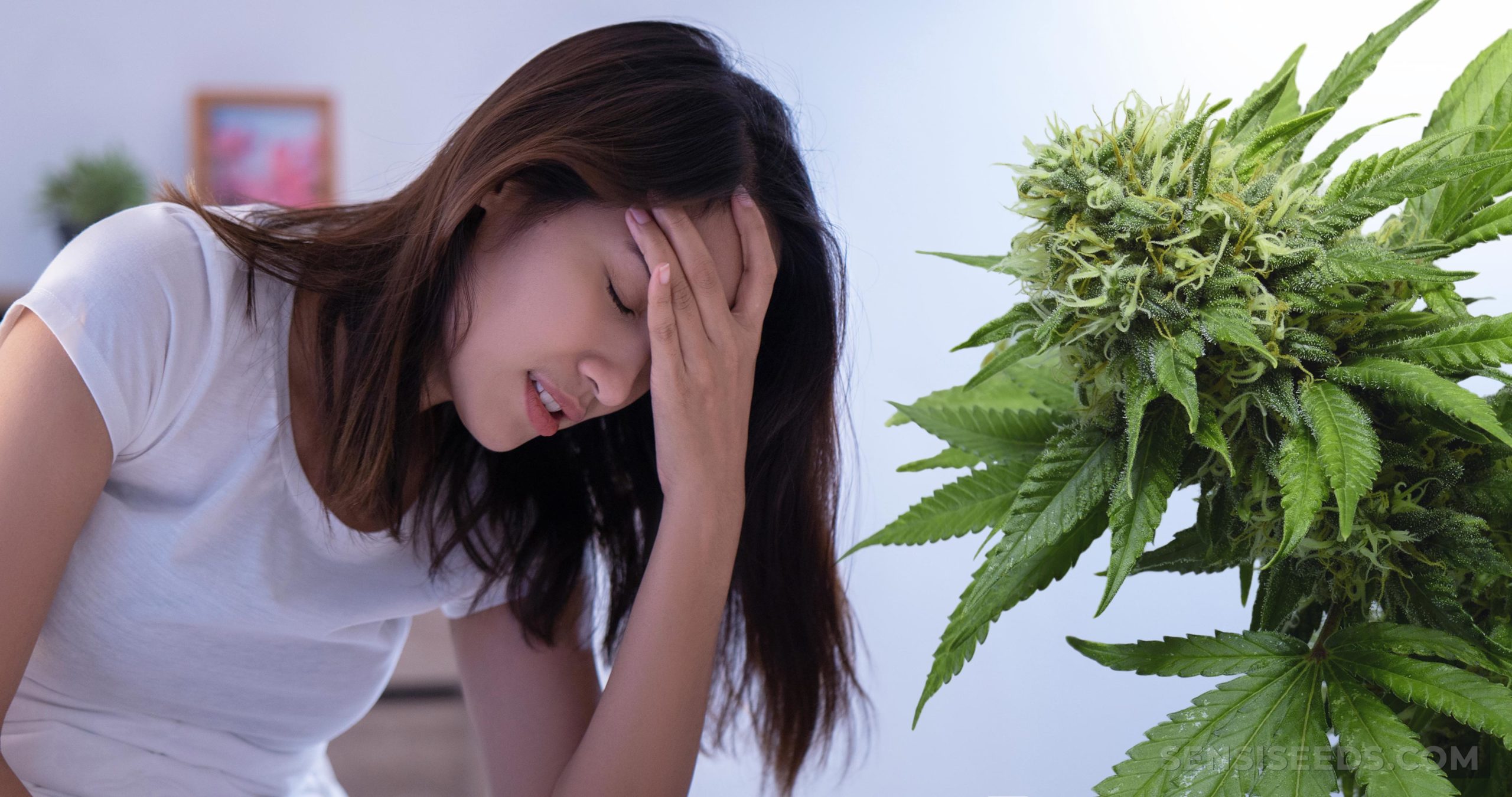 Effective Ways to Relieve Marijuana-Induced Headaches