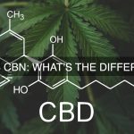 CBD vs CBN: What’s the Difference?