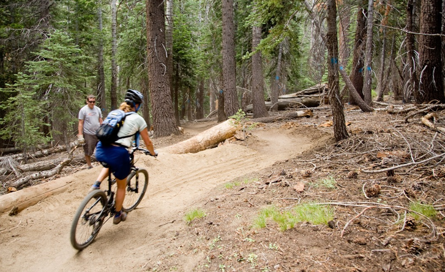 27e105 single track trail mammoth