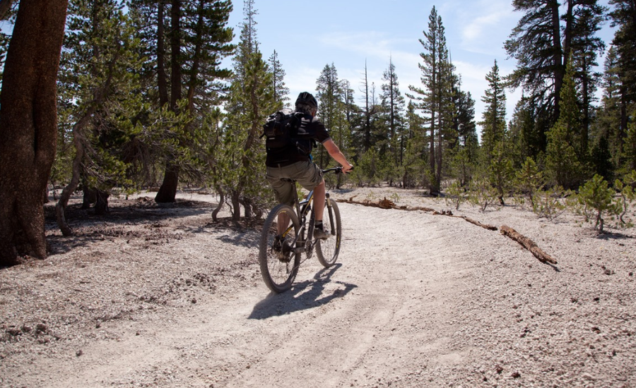 27e105 single track trail mammoth