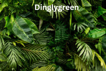 dinglygreen