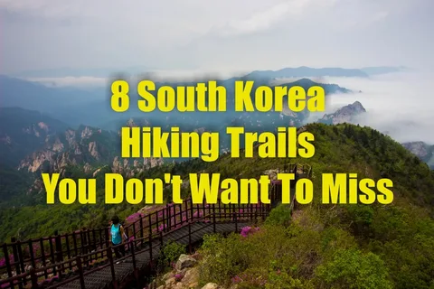 Best Hiking Trails of South Korea