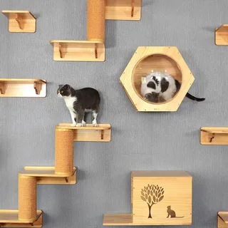 Cat Tree Placement Where to Put Your Cat Tree for Maximum Enjoyment