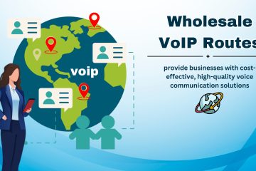 Wholesale VoIP Routes