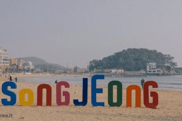 Discovering OP: Your Gateway to Relaxation in Busan