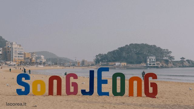 Discovering OP: Your Gateway to Relaxation in Busan